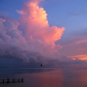 A sunset over the Gulf of Mexico. <a href=></a>