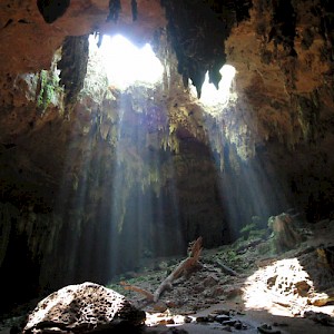 A view from inside a cenote without water, part of the Loltun cave system. <a href=></a>