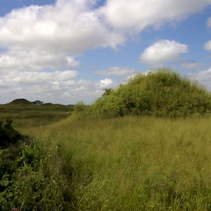 North of the Puuc range in southern Yucatan, the landscape is flat. If you see hills like these near Oxkintok, you are looking at unrestored Mayan structures. <a href=></a>
