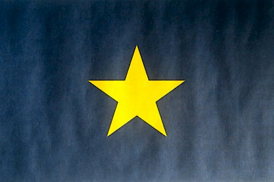 First official flag of the Republic of Texas (1836-1839) <a href=></a>