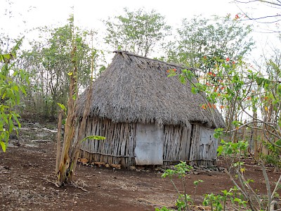 Maya nah house which was the type of stucture burned by the Republic of Texas Navy <a href=></a>