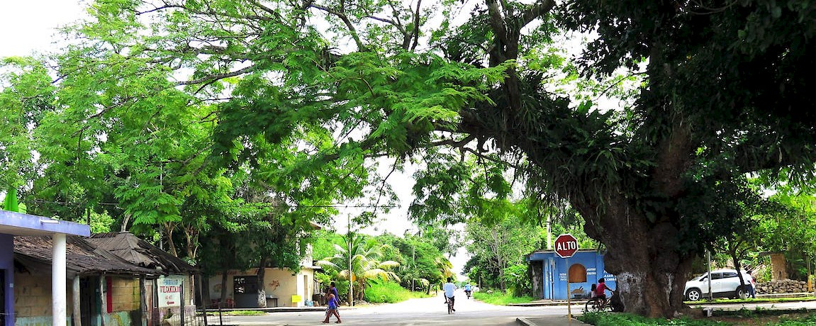 Naatik Language & Culture Institute