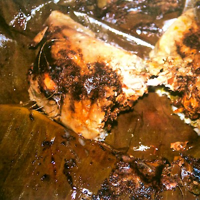 A Maya tamale stuffed with iguana meat, tomatoes and spices, and then wrapped in a banana leaf and cooked in an underground pib. <a href=></a>