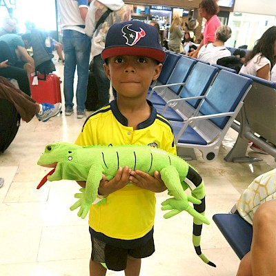 If children want a pet iguana, this boy from Houston has a suggestion! <a href=></a>