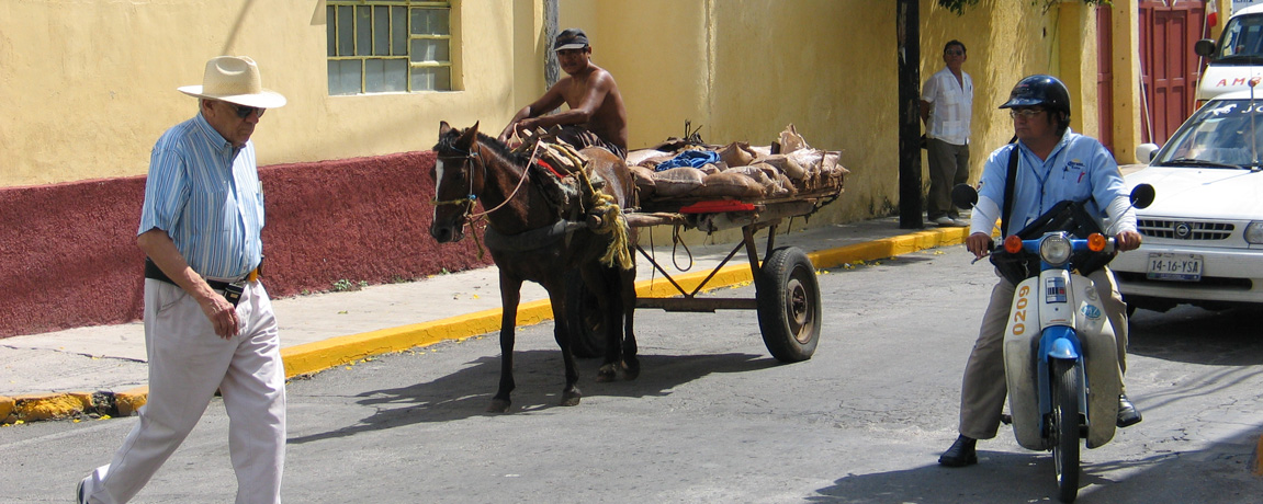 Grocery Shopping in Merida (copy)