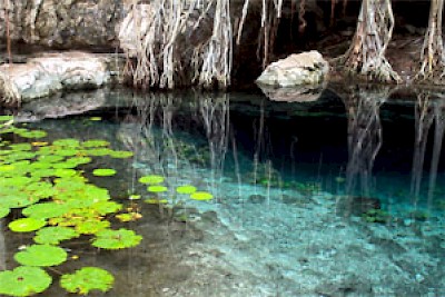 cenote <a href=></a>