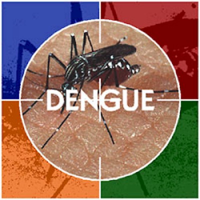 dengue <a href=></a>