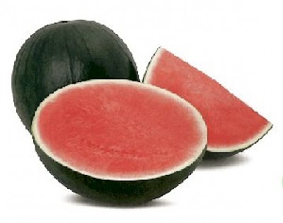 watermelon <a href=></a>