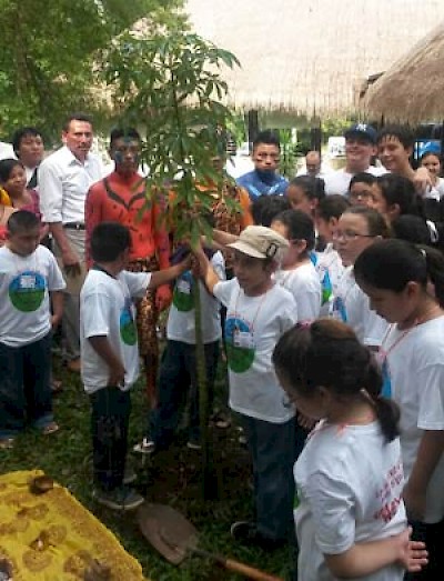 treeplanting <a href=></a>