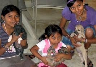 Adoptions in Yucatan Mexico <a href=></a>