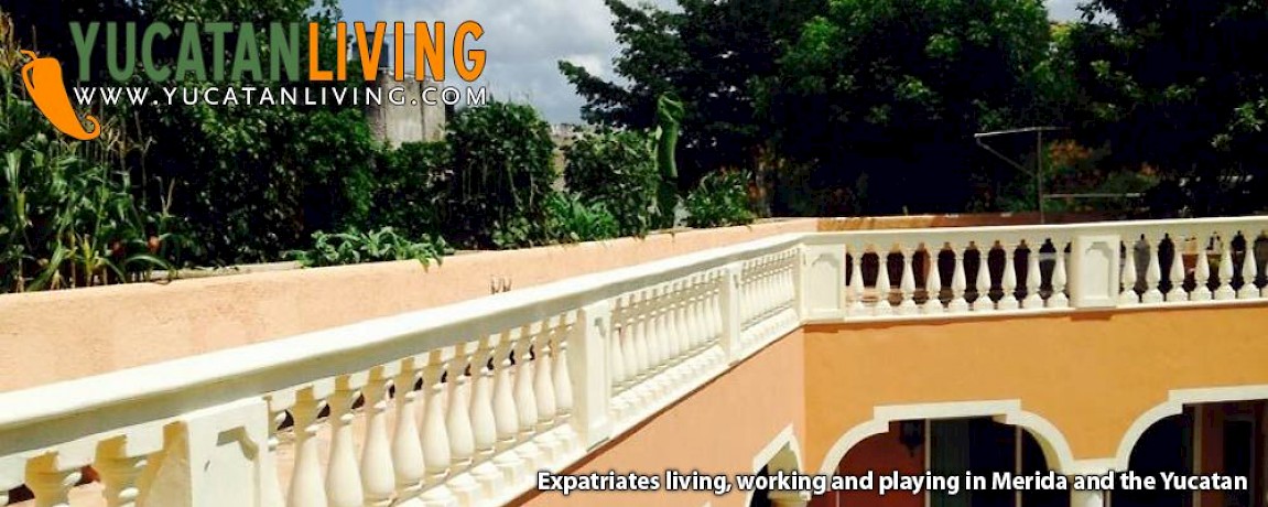 Gardening in Yucatan: Planning & Planting