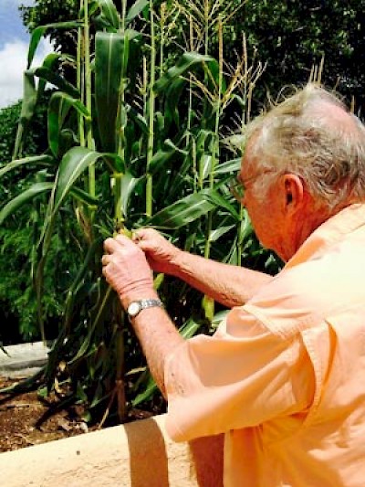 Planters in Merida Yucatan <a href=></a>