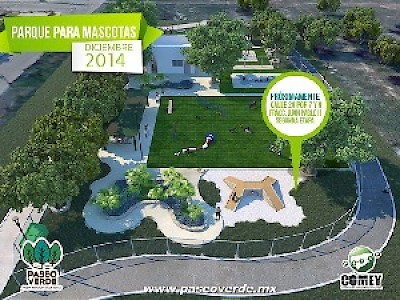 Dogs and Parks in Yucatan Mexico <a href=></a>