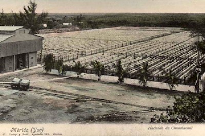 working at a hacienda in Yucatan <a href=></a>